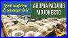 Aroma-Padang-Mojokerto-Review-Conveyor-Belt-Restaurant-Nasi-Padang-01-ka