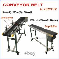 Double Buffles Conveyor Belt Machine Stainless Steel Mini Inkjet Printer Foods
