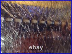 Intralox Series 1600 Conveyor Belt, Blue, 24 Wide, 20.02' Long (240 Rows)